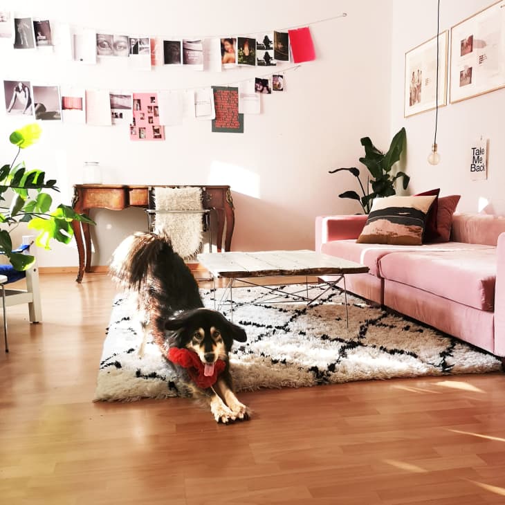 Small Living Room Office Design Ideas and Tips | Apartment Therapy